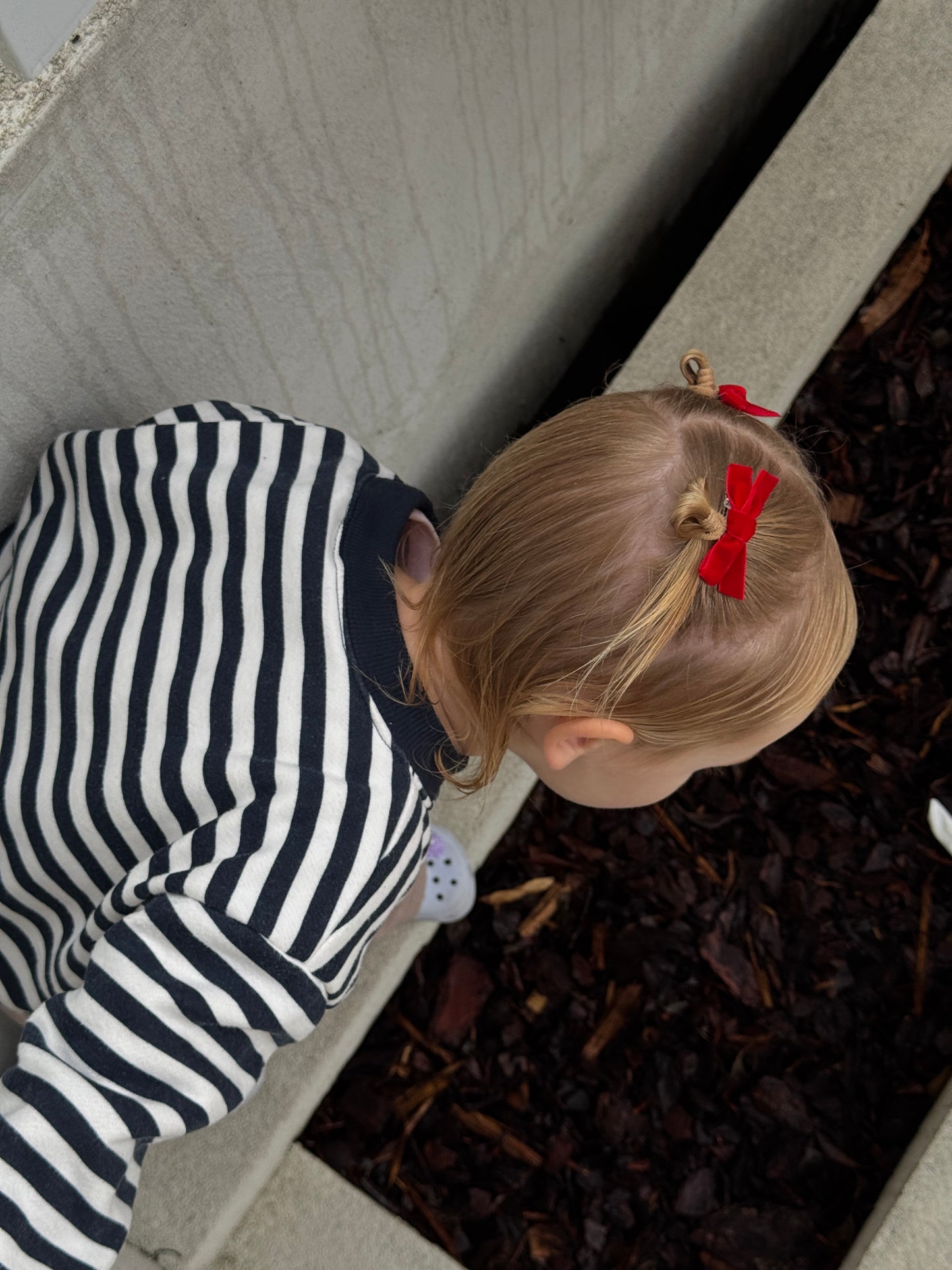 Amelia Velvet Bows