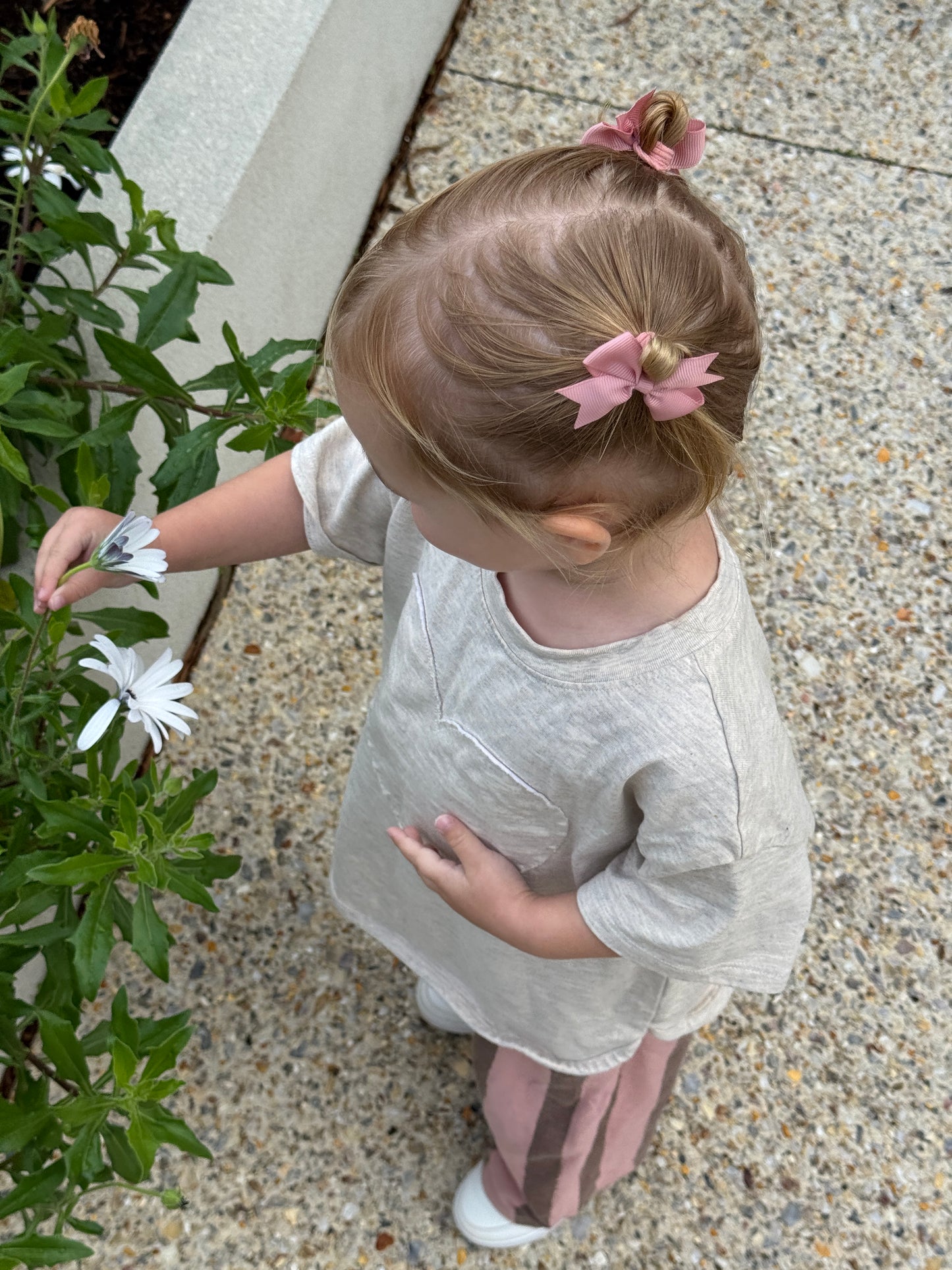 Olivia Hair Ties